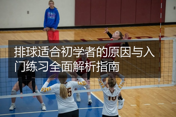 排球适合初学者的原因与入门练习全面解析指南